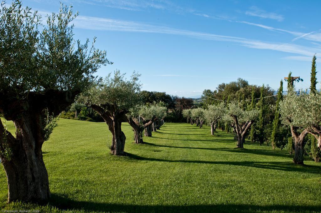 Tenuta Di Petriolo Pensionat Torrita di Siena Eksteriør billede