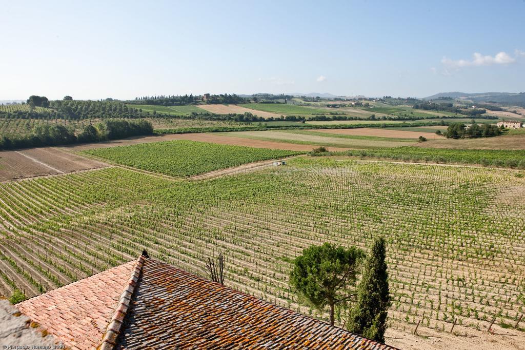 Tenuta Di Petriolo Pensionat Torrita di Siena Eksteriør billede